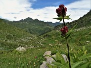 05 In discesa dal Mincucco nella Valle di Ponteranica 